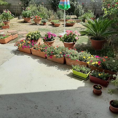 Casa Vacanze Millefiori Codice Iun Q3156 Teulada Eksteriør billede