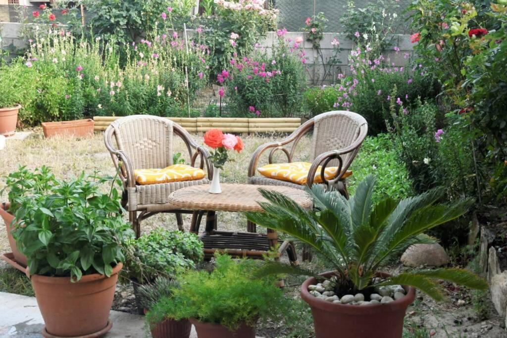 Casa Vacanze Millefiori Codice Iun Q3156 Teulada Eksteriør billede